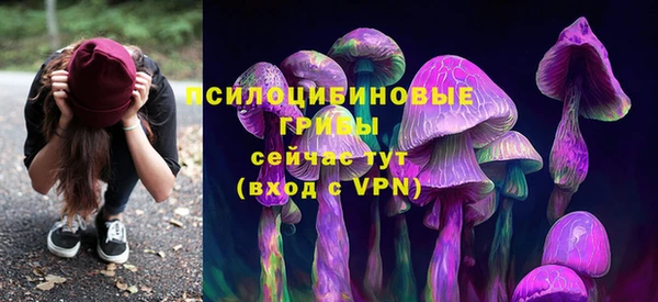 apvp Алексин