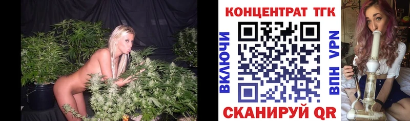 ТГК концентрат  закладка  Себеж 
