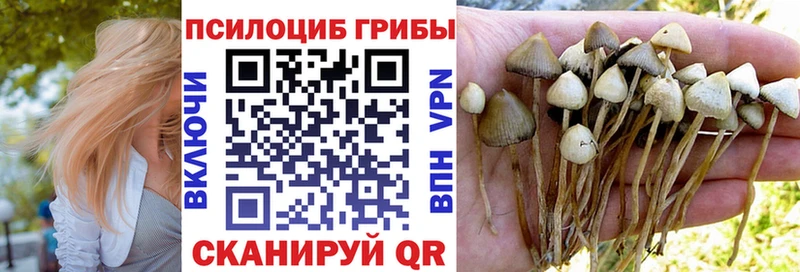 Галлюциногенные грибы MAGIC MUSHROOMS  Себеж 
